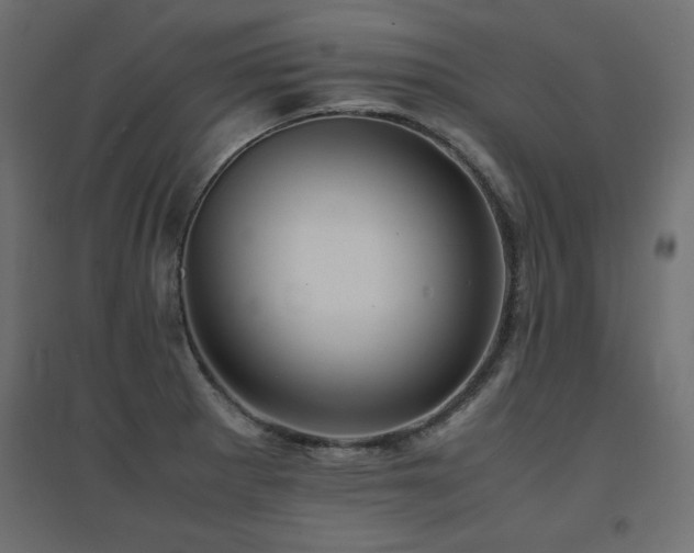 X0000094911281200711291247