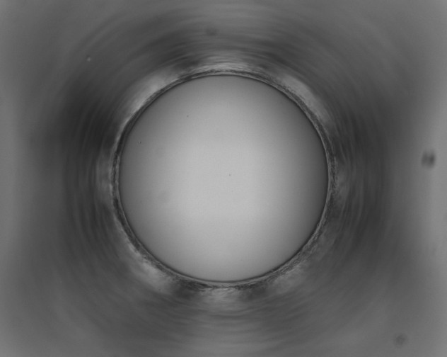 X0000094911282200711291247