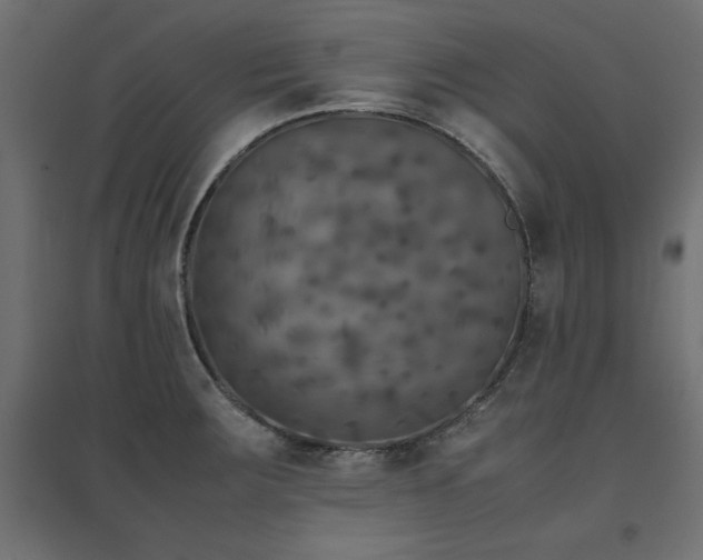 X0000094911283200711291247