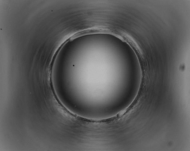 X0000094911284200711291247