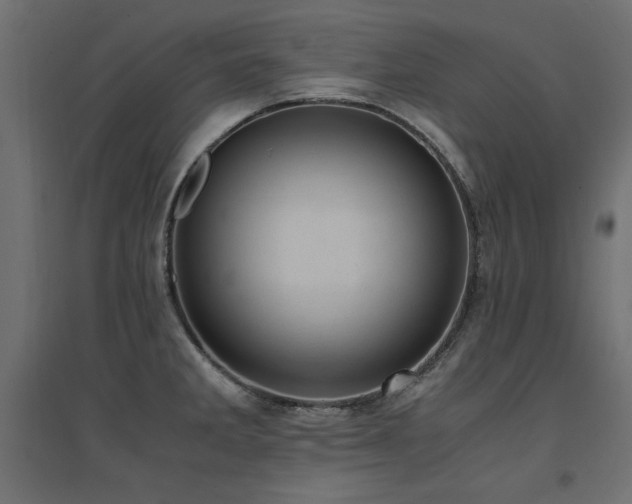 X0000094911285200711291247