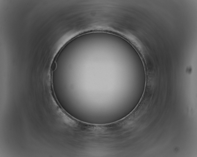 X0000094911287200711291247