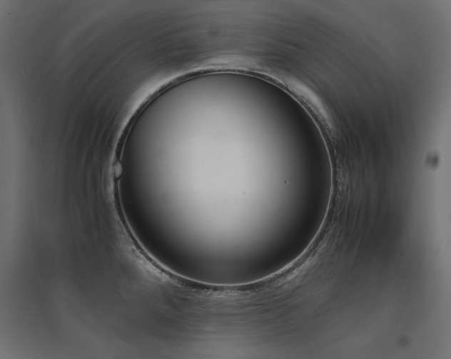X0000094911288200711291247