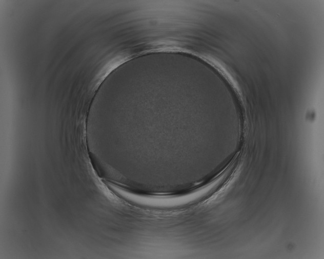 X0000094911289200711291247