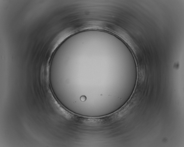 X0000094911290200711291247