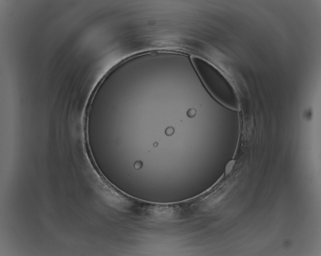 X0000094911291200711291247