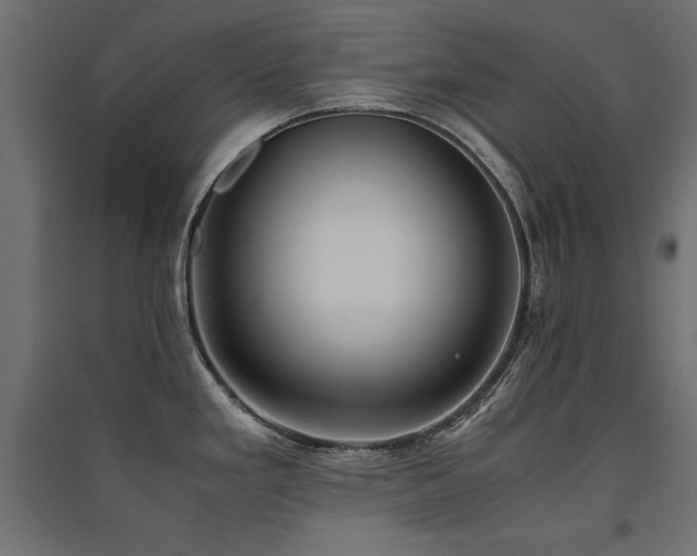 X0000094911293200711291247