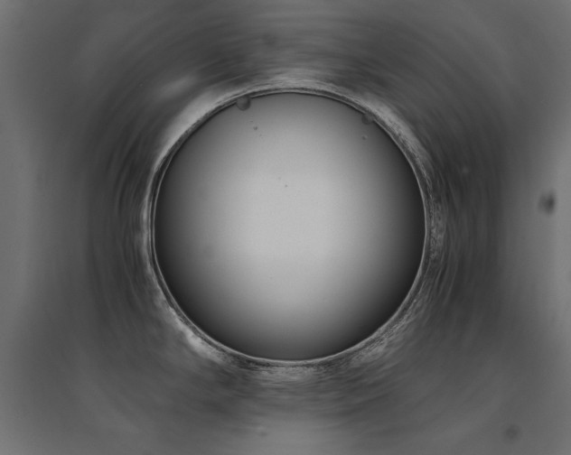 X0000094911294200711291247