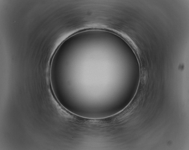 X0000094911295200711291247