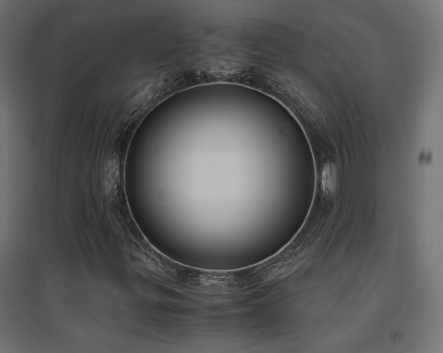X0000094911299200711291246