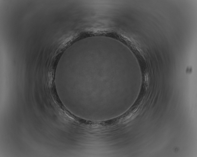 X0000094911300200711291246