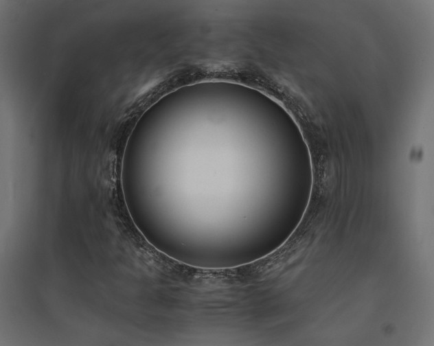 X0000094911301200711291246