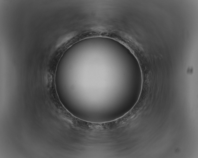 X0000094911302200711291246