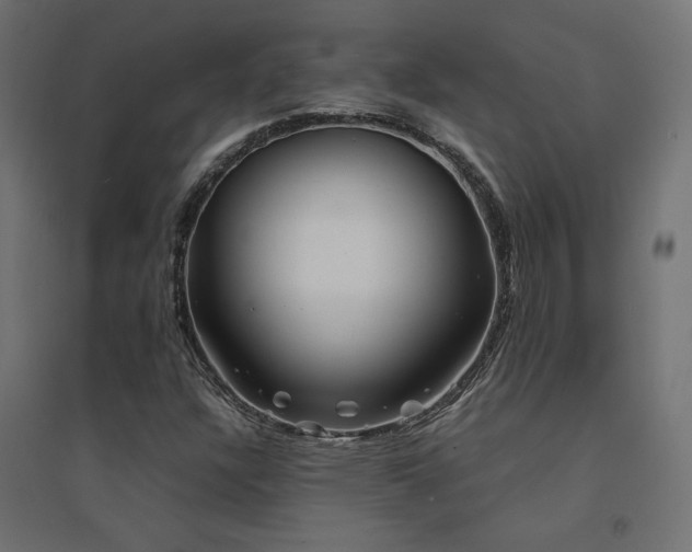 X0000094911304200711291246