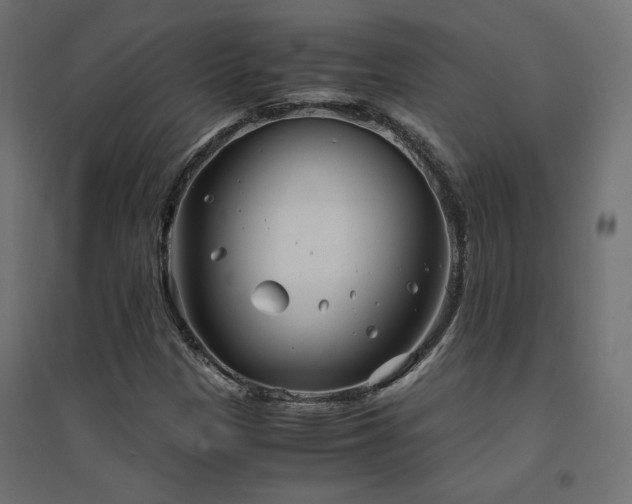X0000094911305200711291246