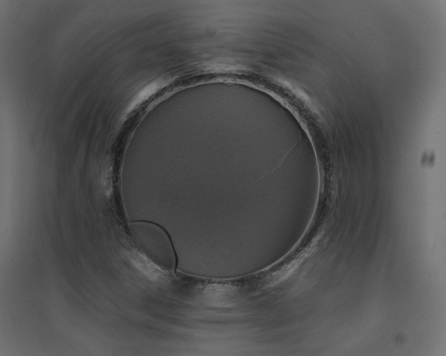 X0000094911306200711291246