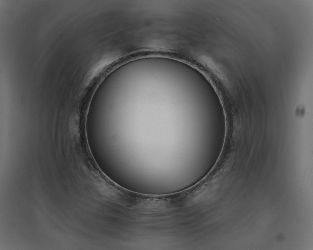 X0000094911307200711291246