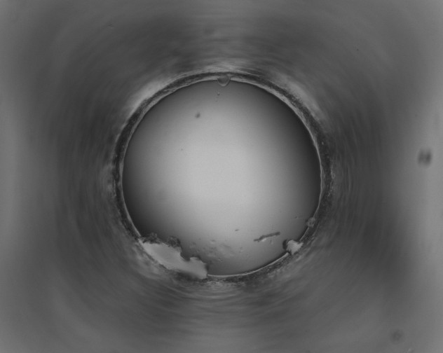 X0000094911308200711291246