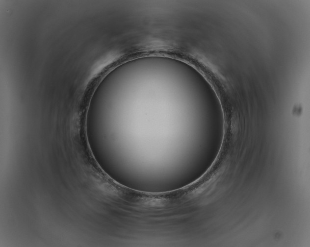 X0000094911309200711291246