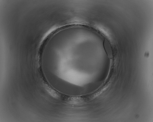 X0000094911310200711291246