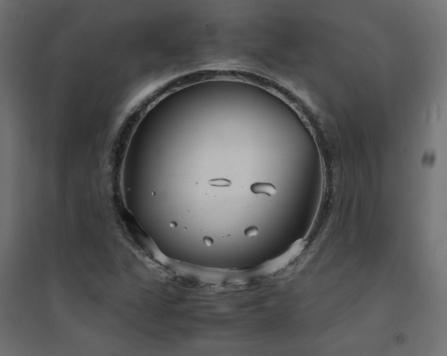 X0000094911311200711291246