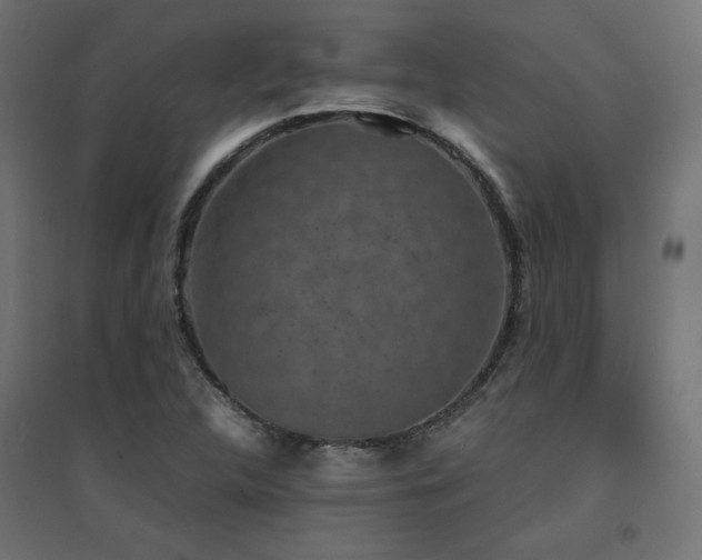 X0000094911312200711291246