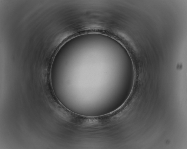 X0000094911313200711291246