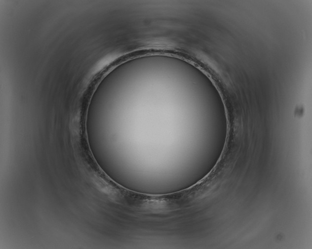X0000094911315200711291246