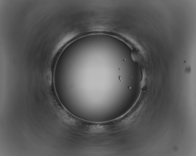 X0000094911317200711291246