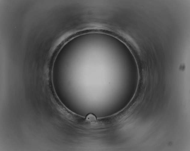 X0000094911318200711291246