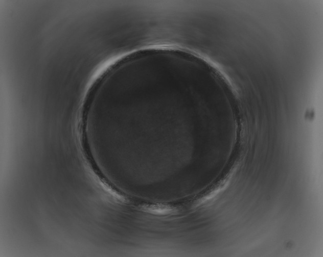 X0000094911319200711291246
