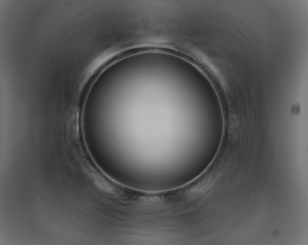 X0000094911320200711291246