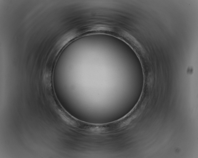 X0000094911321200711291246