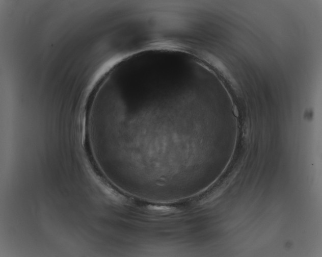 X0000094911323200711291246