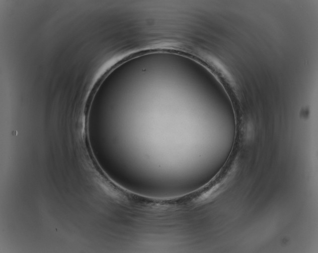 X0000094911324200711291246