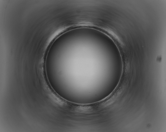 X0000094911325200711291246