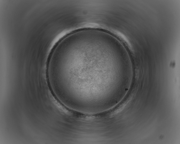 X0000094911326200711291246