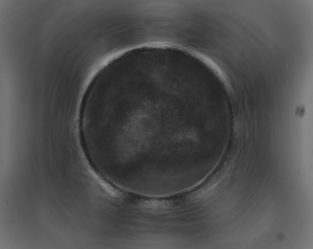 X0000094911327200711291246