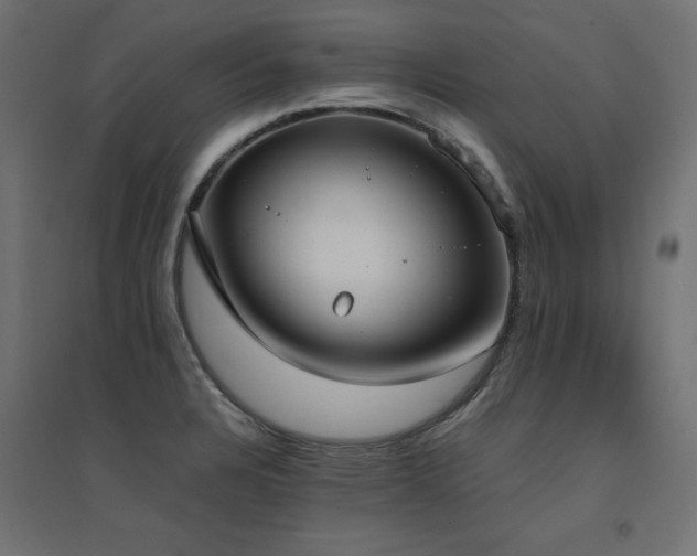 X0000094911328200711291246