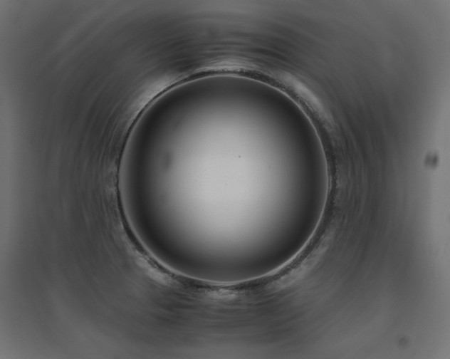 X0000094911329200711291246