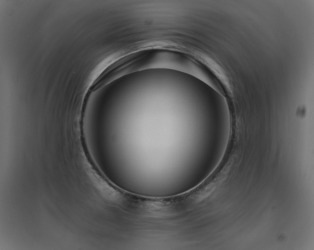 X0000094911330200711291246