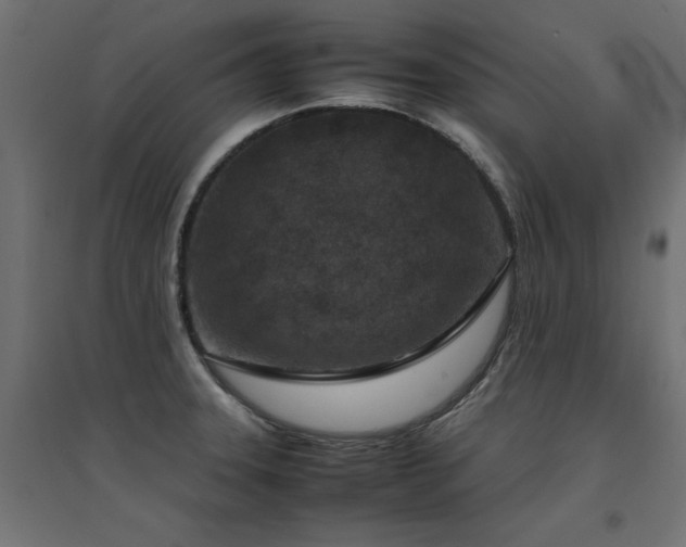 X0000094911331200711291246