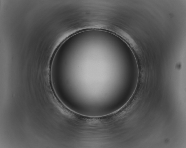 X0000094911332200711291246