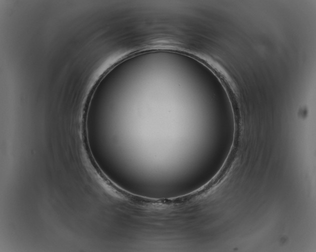 X0000094911333200711291246