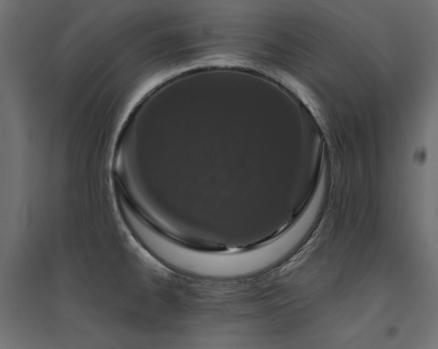 X0000094911334200711291246