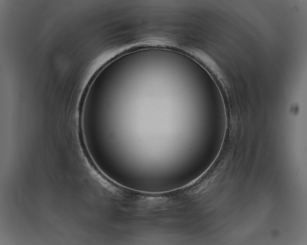 X0000094911335200711291246