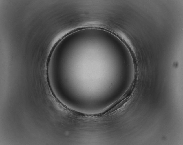 X0000094911336200711291246