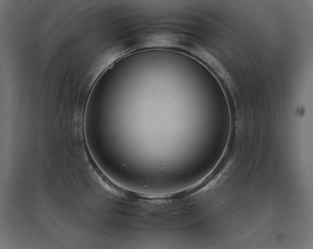 X0000094911337200711291246