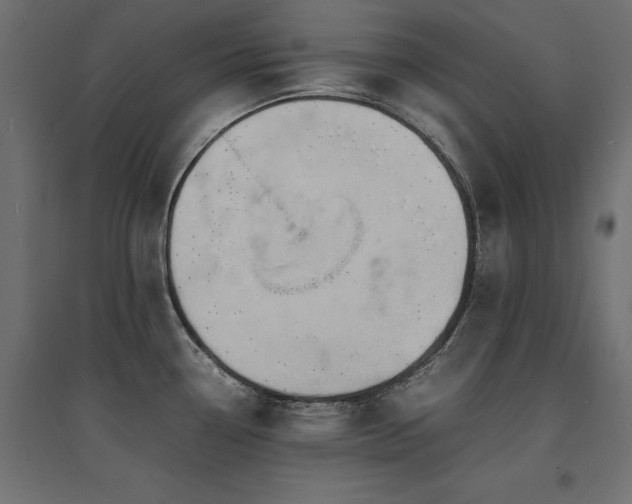 X0000094911338200711291246