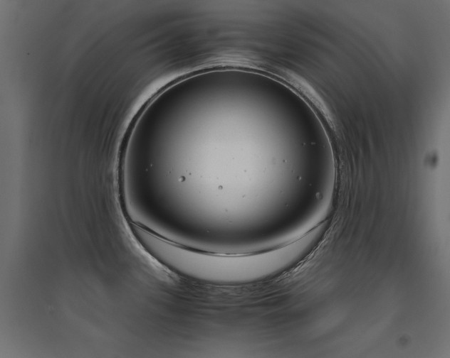 X0000094911339200711291247